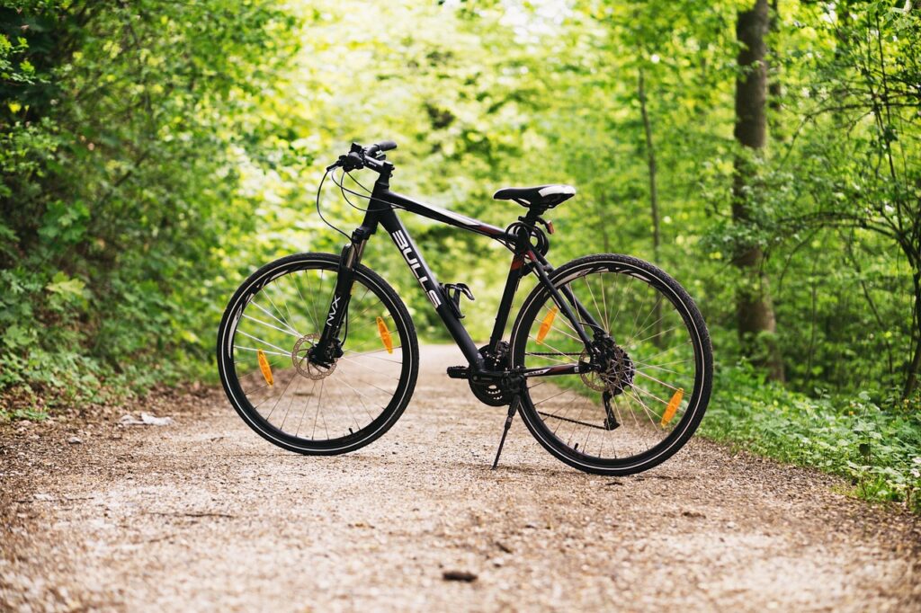 bicycle, bike, forest, path, sports, nature, outdoors, dirt road, mountain bike, wheels, bicycle wheels, parked, park, woods