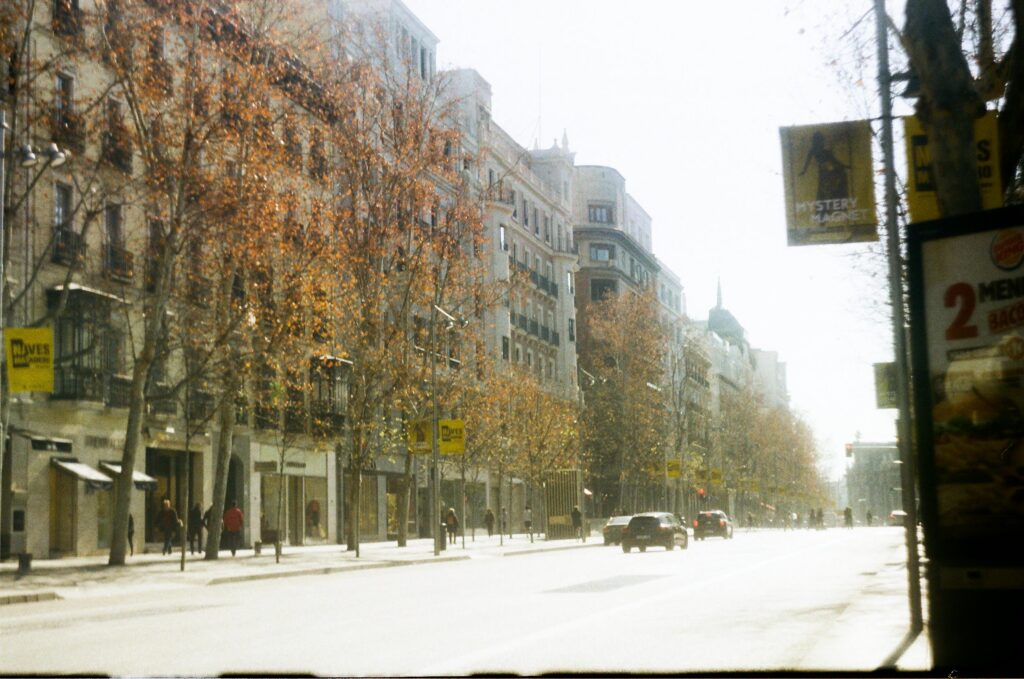 A sunlit urban street showcasing classic European architecture with autumn trees lining the road.