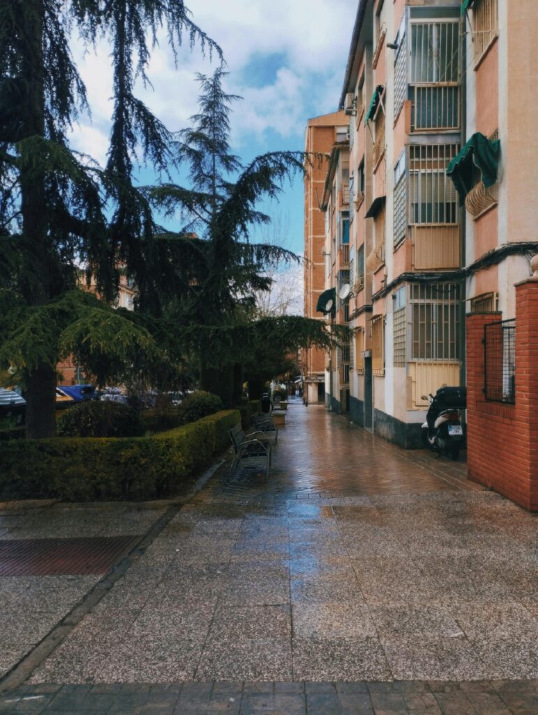 A serene city street showcasing urban buildings and lush evergreen trees.