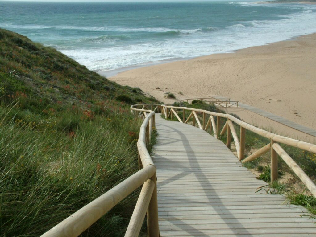Wooden boardwalk path leading to a serene sandy beach with waves in the background.